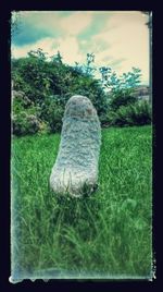 Scenic view of grassy field against cloudy sky