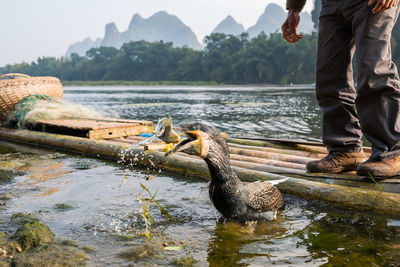 Low section of man standing on wooden raft by bird catching fish on river