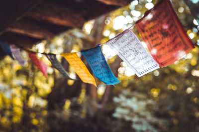 Close-up of padlocks hanging on metal