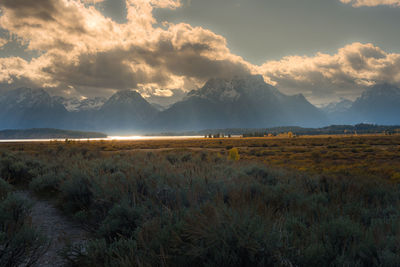 Scenic view of landscape against sky