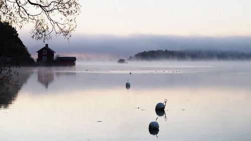 Reflection of trees in water