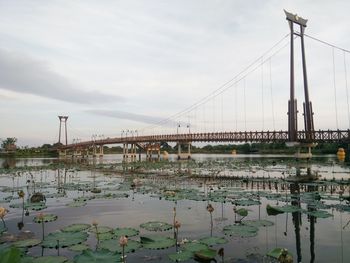 Bridge over river in city against sky