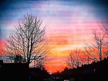 Silhouette tree against dramatic sky during sunset
