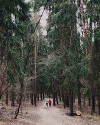 Rear view of people walking in forest