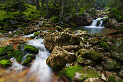 Beautiful landscape in the mountains, with the river and waterfall in retezat mountains