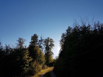 Low angle view of silhouette trees against clear sky