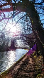 River amidst trees against sky