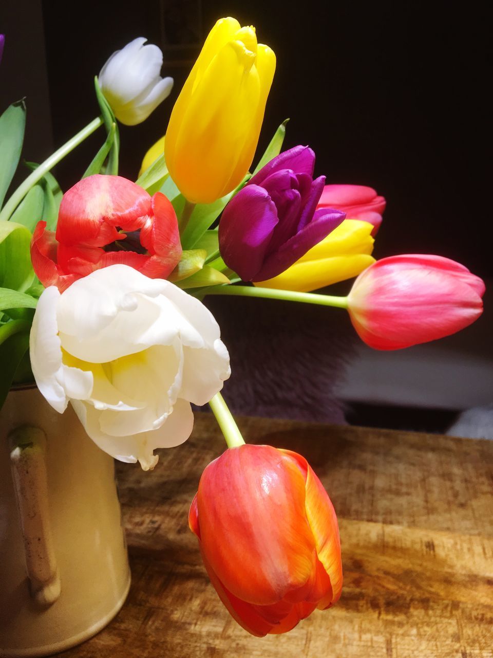 CLOSE-UP OF TULIPS ON TABLE AGAINST BLACK BACKGROUND