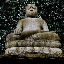 Low angle view of statue against plants