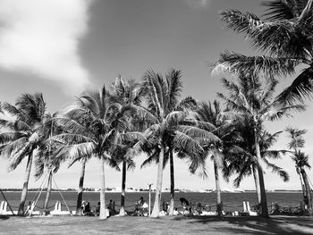 Palm trees on beach against sky