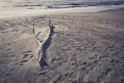 High angle view of footprints on beach