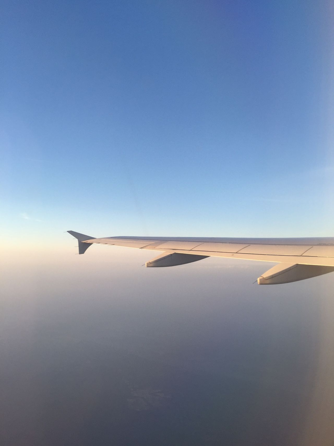 Plane wing