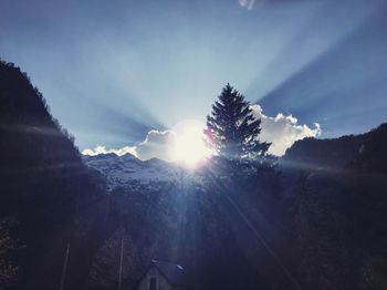 Sunlight streaming through trees against sky on sunny day