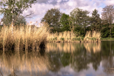 Scenic view of lake against sky