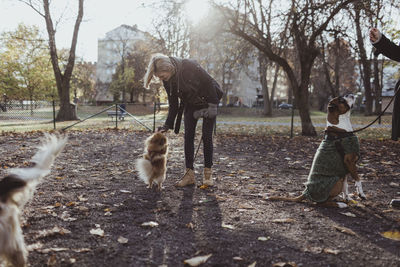 Full length of woman playing with pomeranian at park