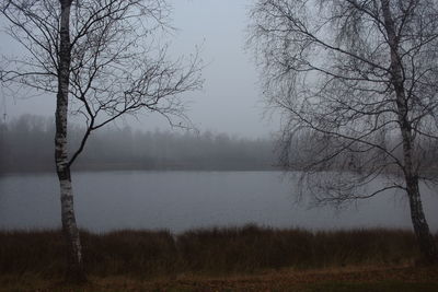 Bare trees by lake against sky during foggy weather