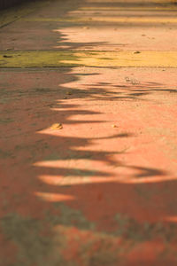 Close-up of water surface level of land