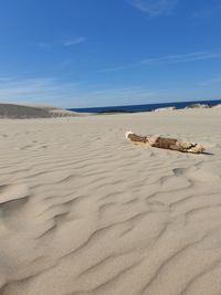 Surface level of sand on beach against sky