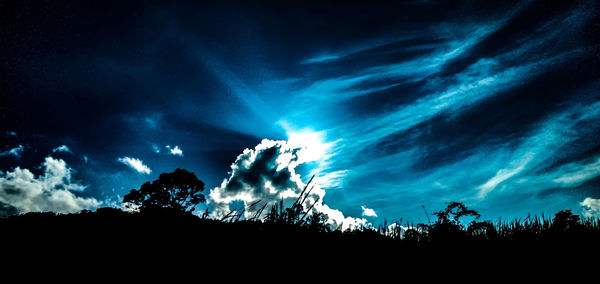 Low angle view of silhouette trees against sky at night