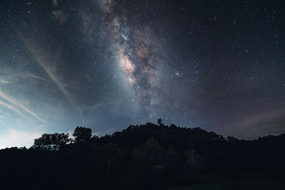 Low angle view of silhouette trees against sky at night