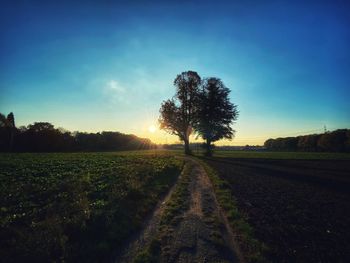 Scenic view of field against sky during sunset