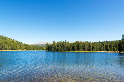 Scenic view of lake and trees against clear sky