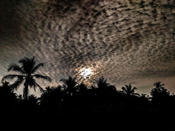 Low angle view of trees against sky