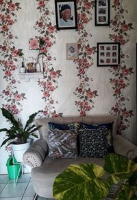 Potted plants on table at home