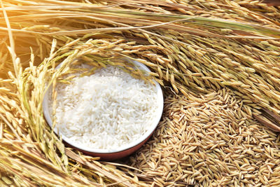Close-up of rice in bowl