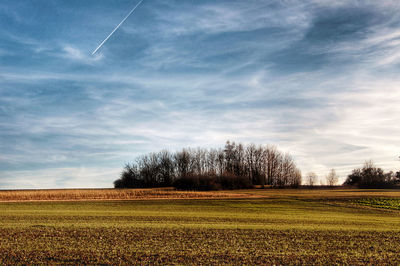 Scenic view of field against sky