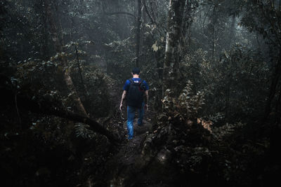 Rear view of man walking in forest