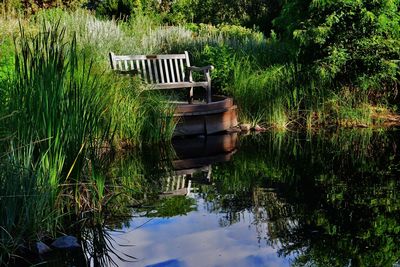 Scenic view of lake against trees