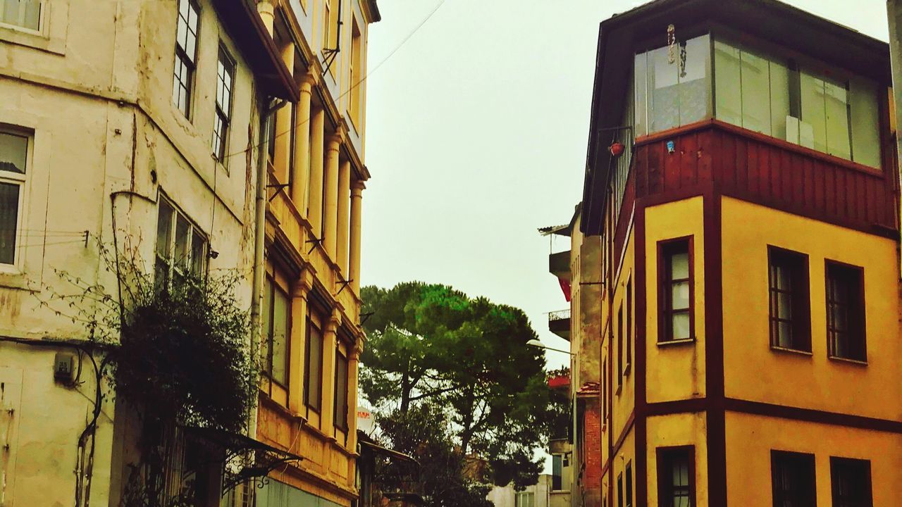 building exterior, architecture, built structure, building, residential district, city, sky, tree, nature, window, no people, day, plant, clear sky, house, low angle view, outdoors, old, town, street, apartment