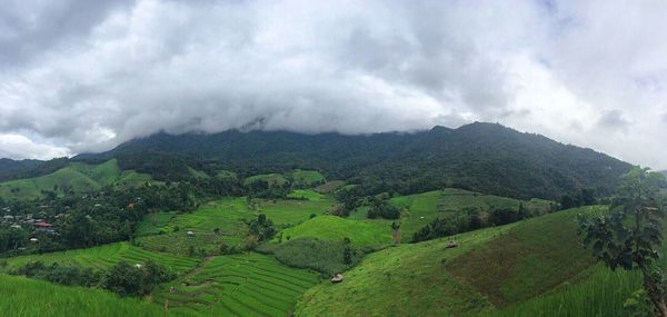 Scenic view of green landscape against sky