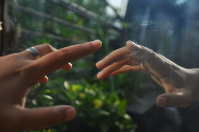 Close-up of hands holding leaf