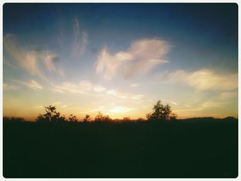 Silhouette trees against sky during sunset