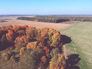 High angle view of plants on land against clear sky