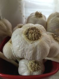 Close-up of garlic bulbs in bowl