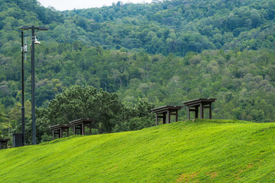 Built structure on landscape against trees in forest