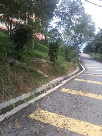 Empty road by trees in city