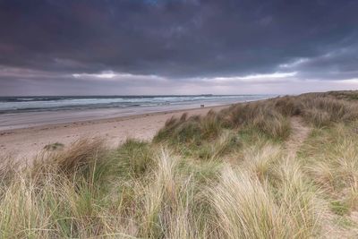 Scenic view of beach against sky