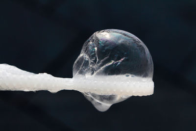 Close-up of bubbles against black background