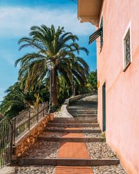 Walkway amidst palm trees against sky