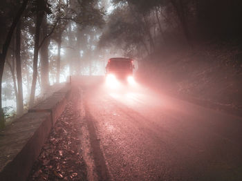Truck on road amidst trees during foggy weather