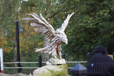 Rear view of bird flying against trees