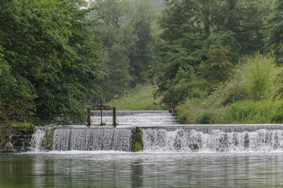 River with trees in background