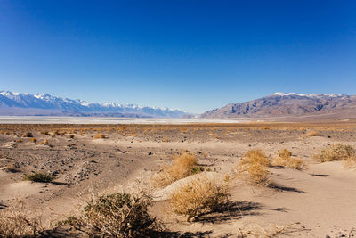 Scenic view of landscape against clear sky