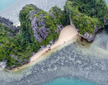 High angle view of rocks amidst plants and trees