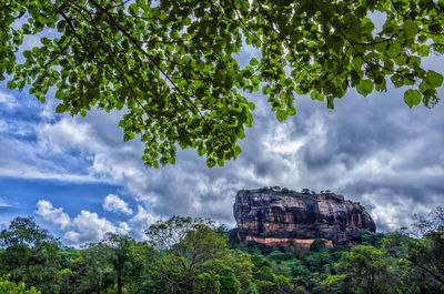 Low angle view of rocks and trees against sky