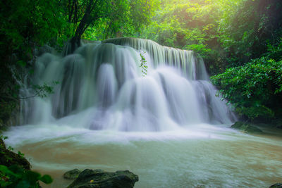 Scenic view of waterfall in forest